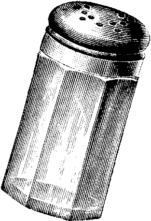 An illustrated salt shaker