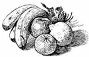 Illustration of a basket of fruit