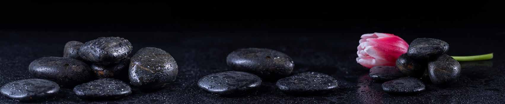 Wet black stones and a pink tulip on a dark reflective surface