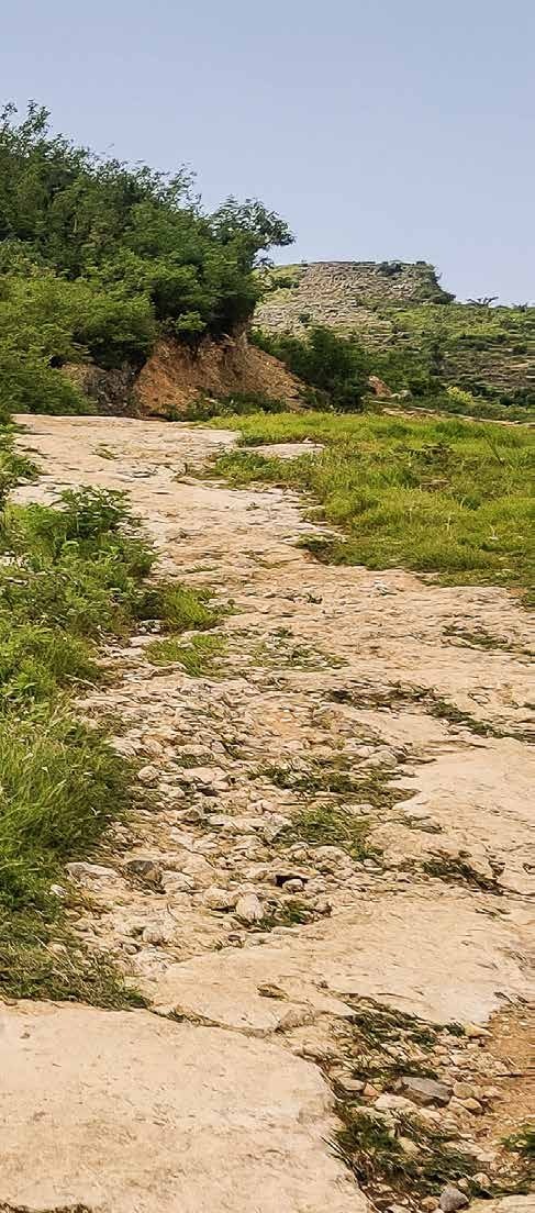 A rocky road ascending through green hills in Haiti