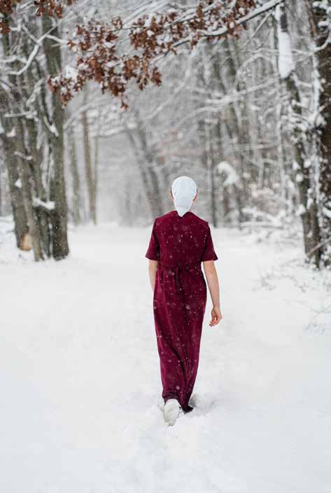 A woman in a red dress walking away along a snowy wooded path