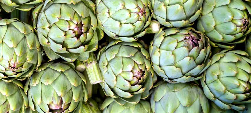 A pile of green artichokes
