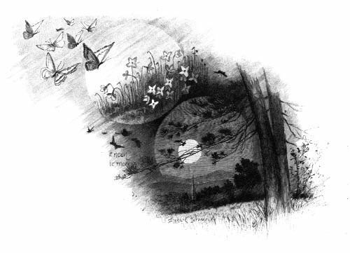 Illustration of butterflies above a stream bordered by flowers and trees