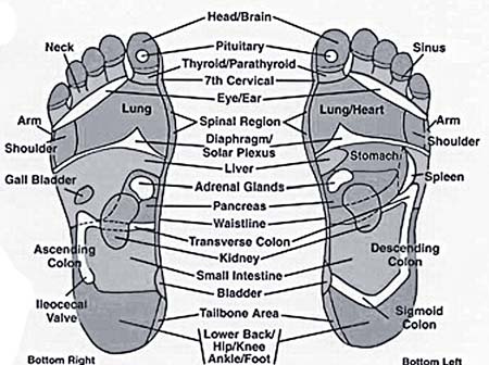 Reflexology chart labeling areas of the feet with corresponding body parts