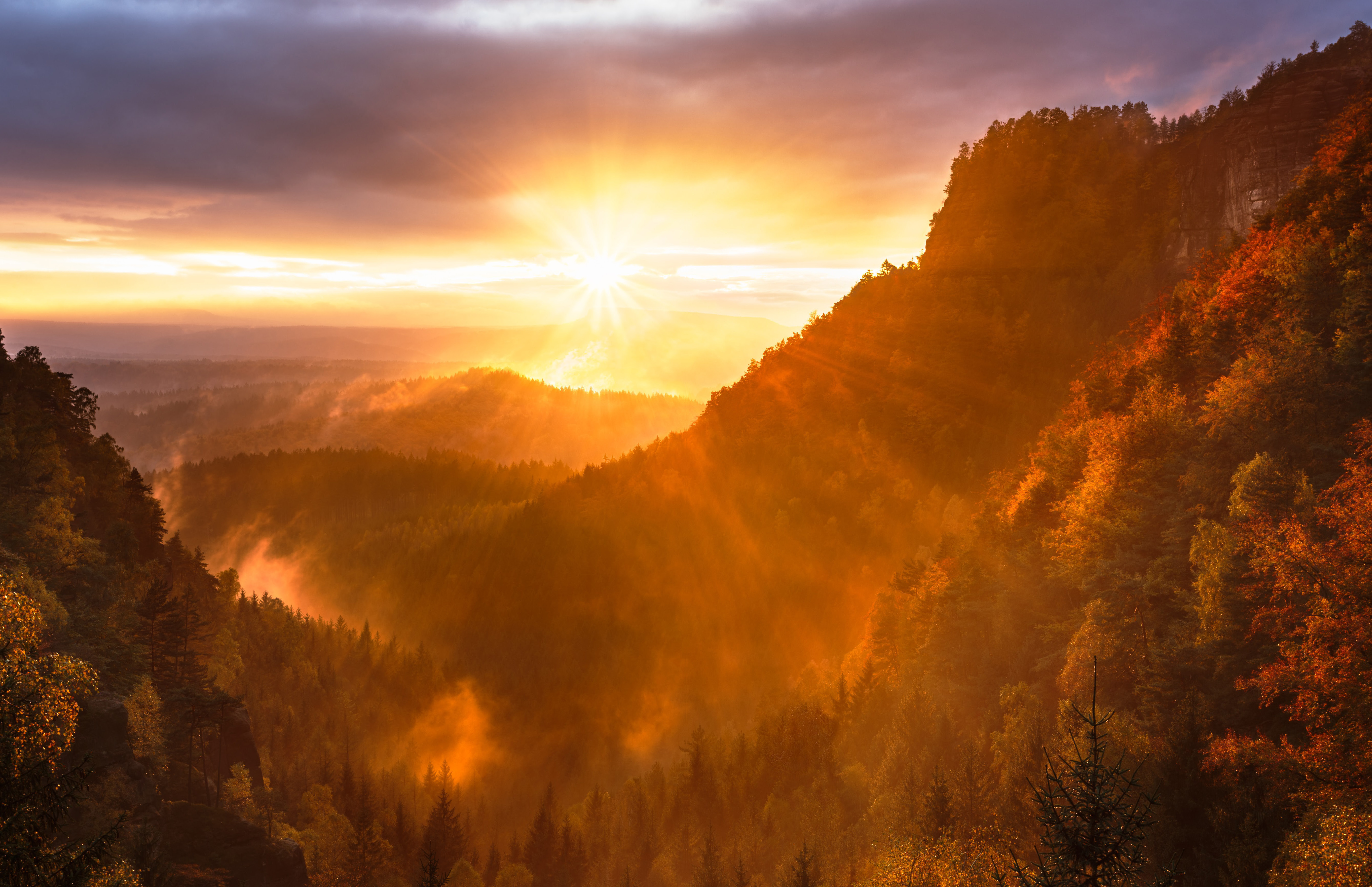 Sunrise over a misty autumn forest