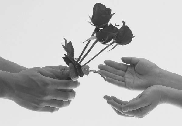 Hands offering two roses to another pair of hands