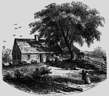 A small house beneath a large tree