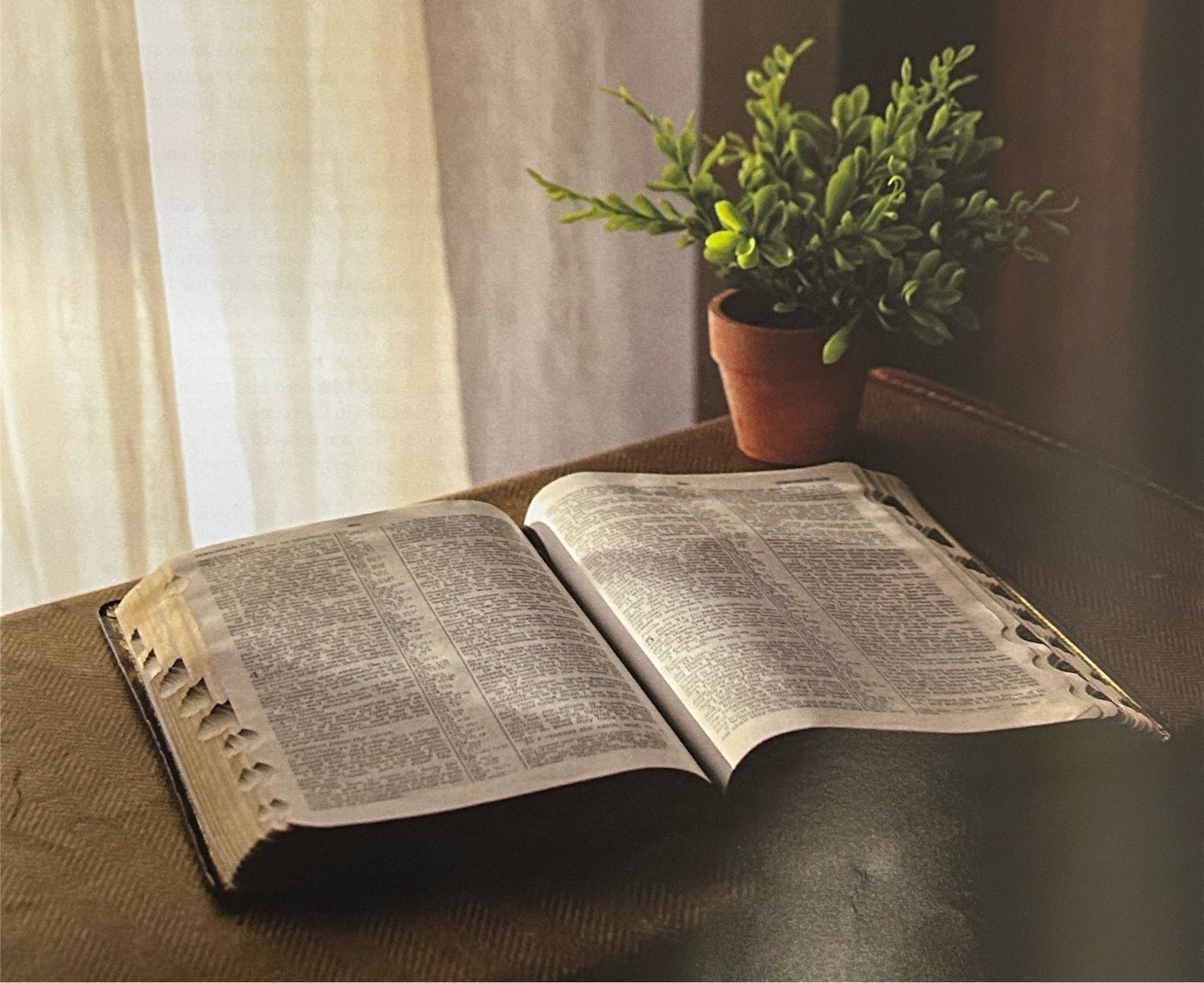 An open Bible and a potted green plant beside a curtained window.