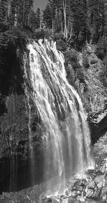 Waterfall flowing over a rocky cliff in a forest