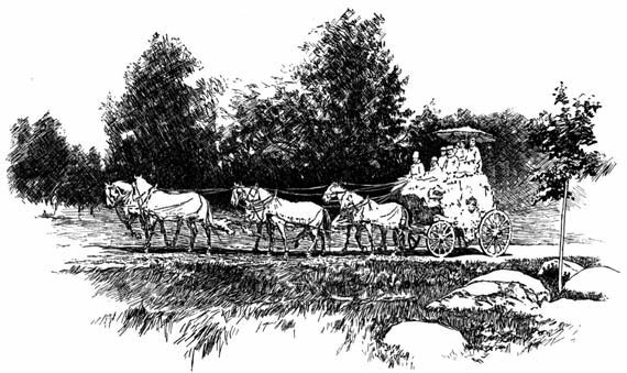 Horse drawn coach travelling along a rural road