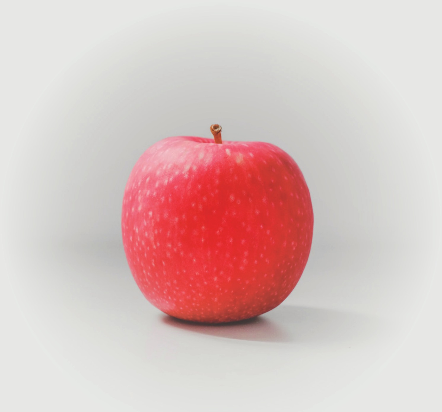 A single red apple on a light gray surface