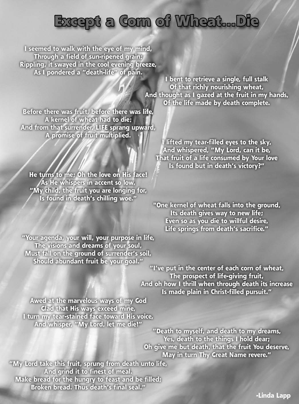 The poem Except a Corn of Wheat...Die printed over a close view of wheat