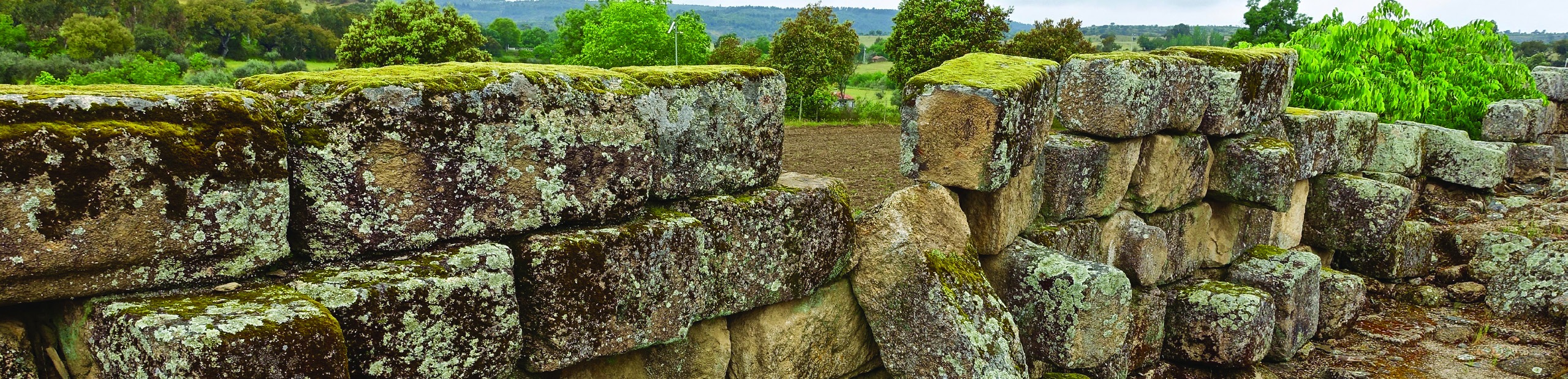 A weathered stone wall in a green rural landscape