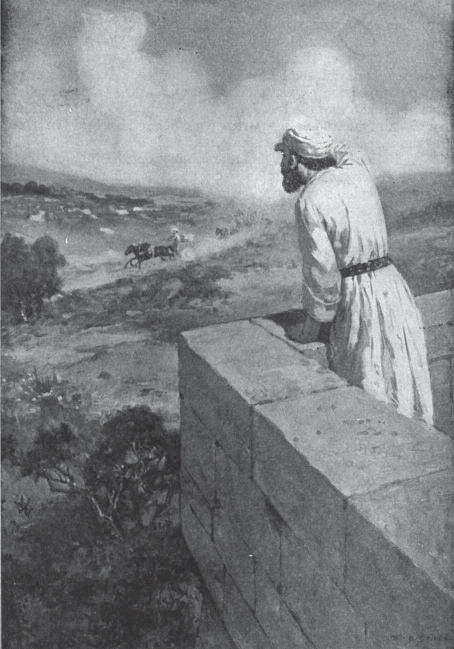 Person surveying a landscape from a parapet