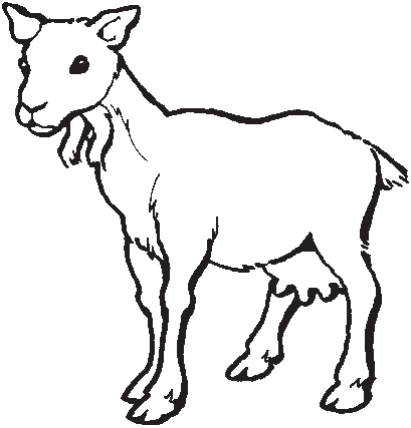 A smooth-coated goat.