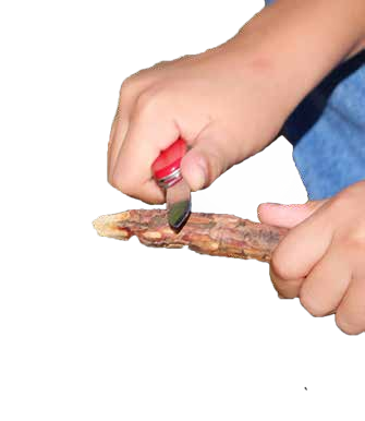 A child whittling a stick with a small red-handled knife