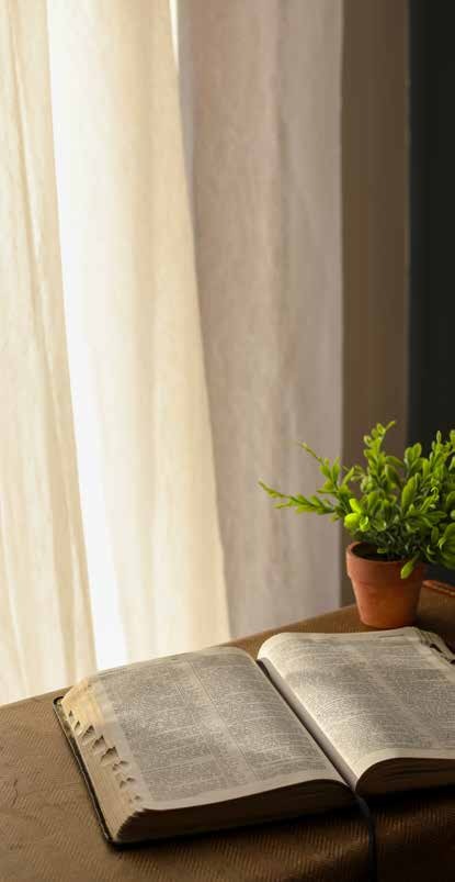 An open Bible beside a small potted plant near a window