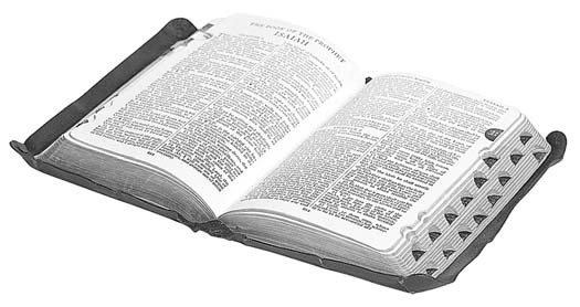 An open Bible