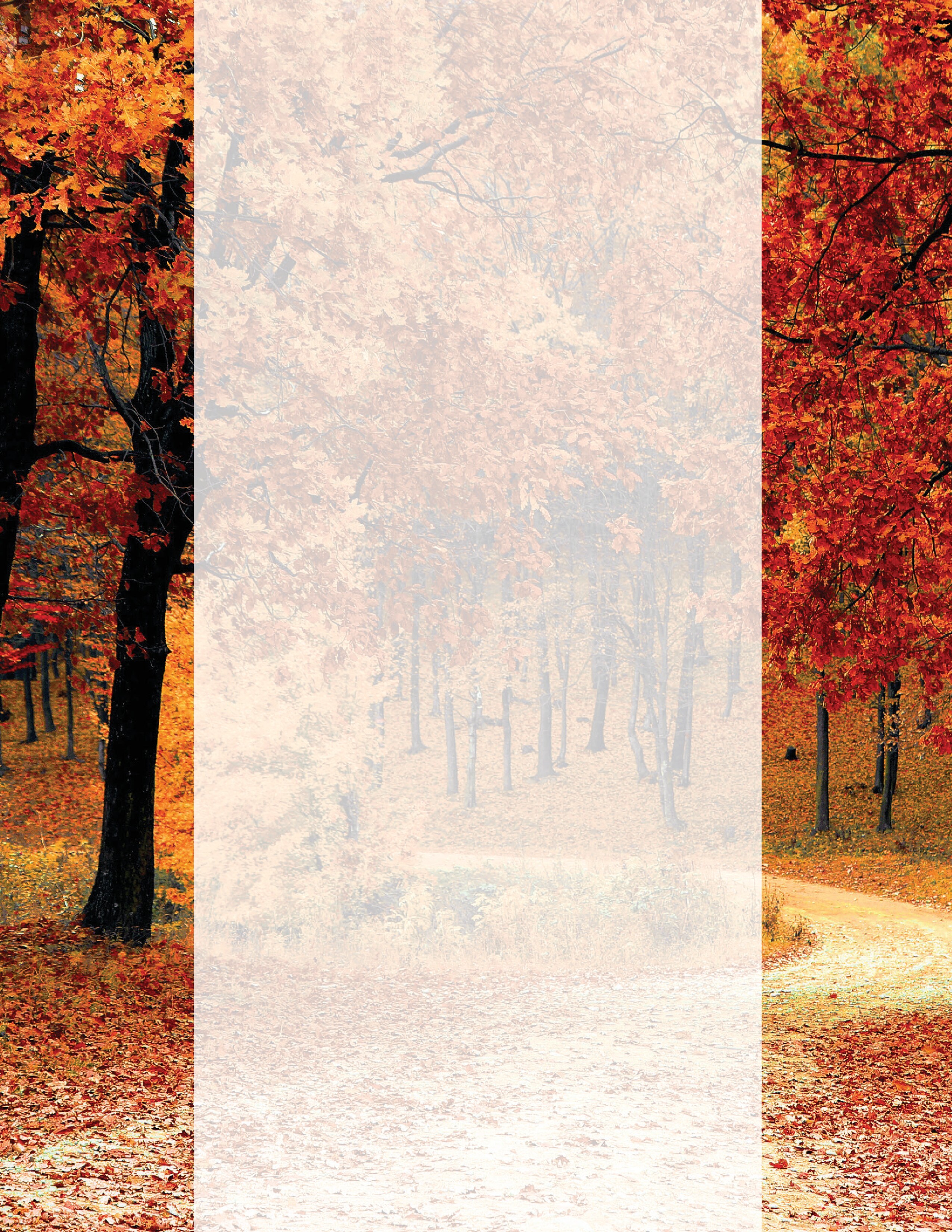 An autumn forest path framed by vivid red and orange trees