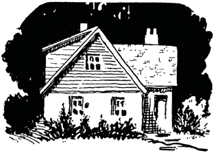 Small house surrounded by bushes