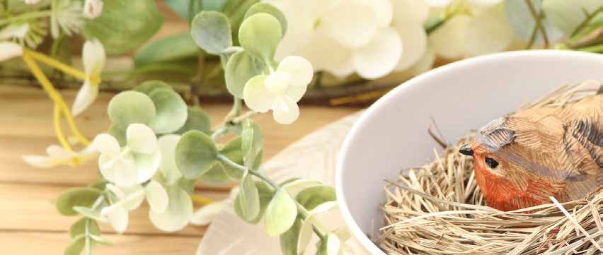 White blossoms beside a small bird nesting in a bowl
