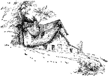 A small cottage among trees