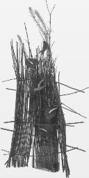A bouquet made from bare, thorny stems.