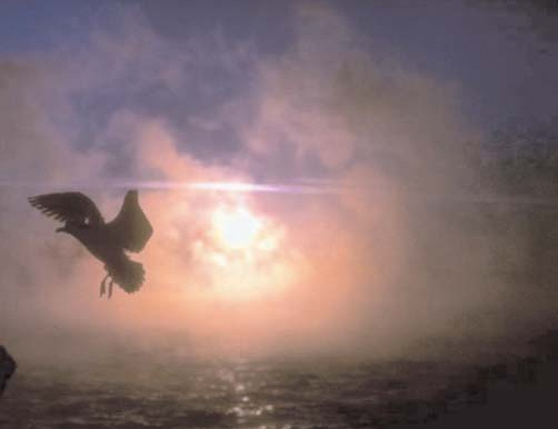 A bird silhouetted against the sun above the sea.