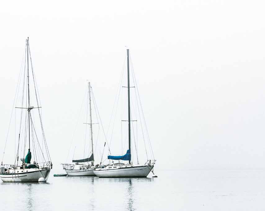 Three sailboats on calm water