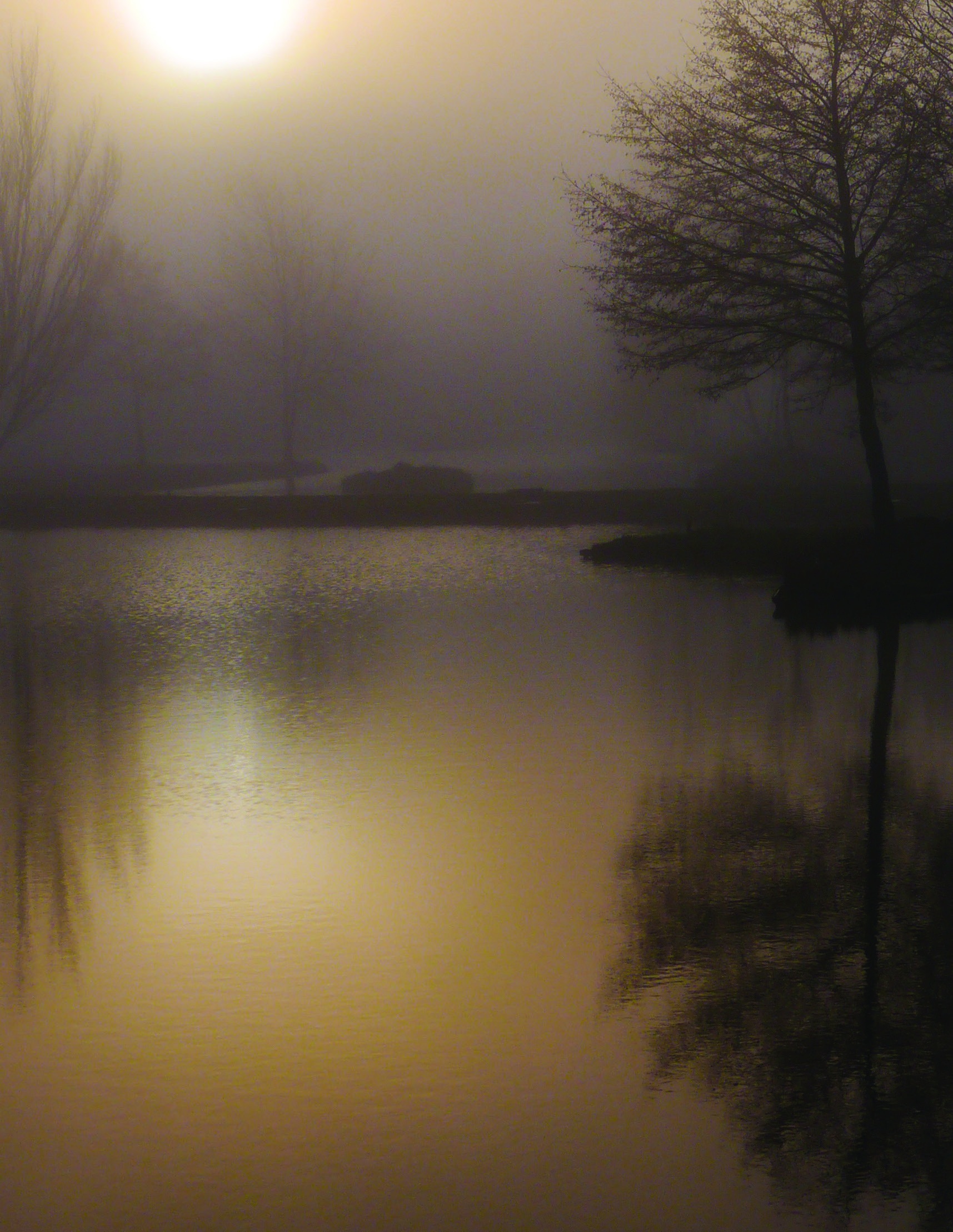 Sunset reflected on a lake beside silhouetted trees