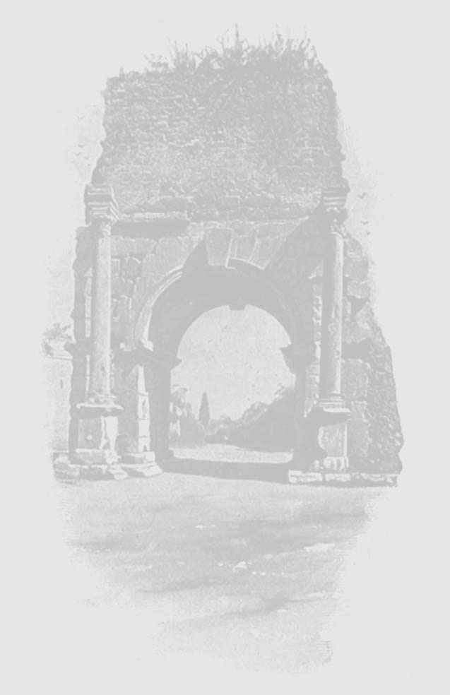 An old stone arch surrounded by vegetation