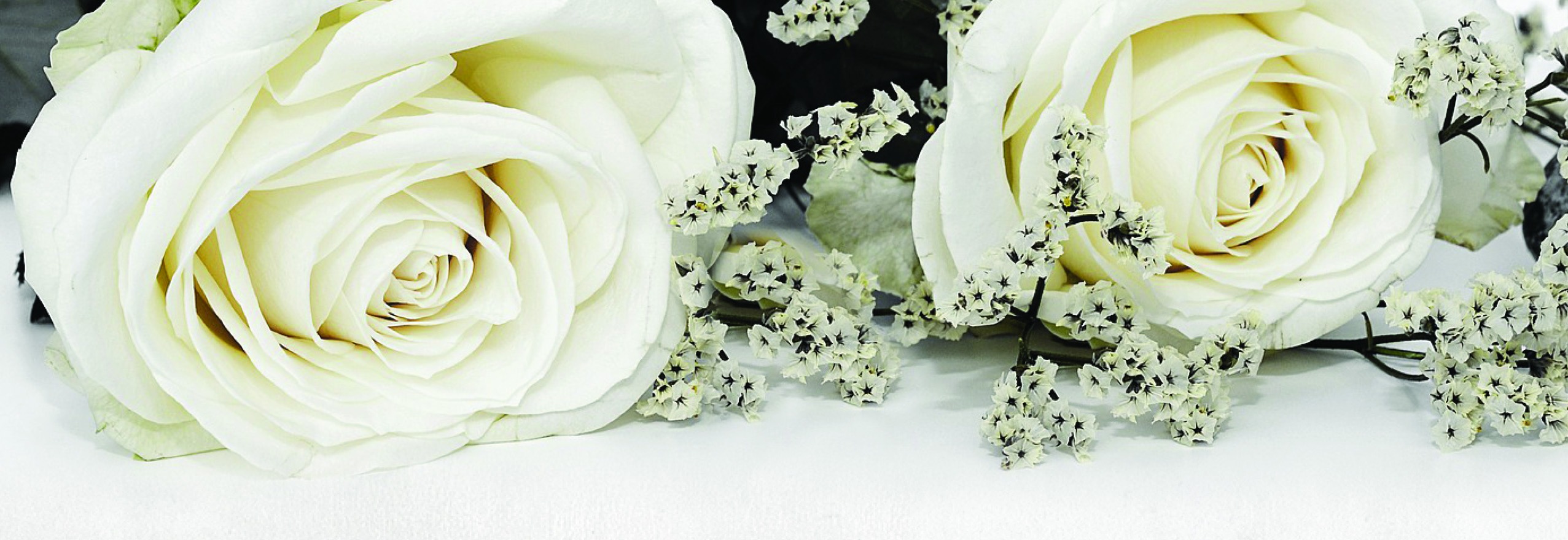 Two white roses with sprigs of small white flowers