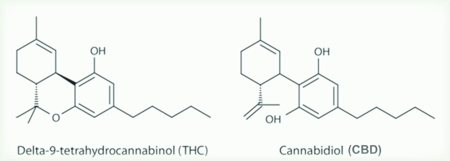 Molecular structures of Delta-9-tetrahydrocannabinol (THC) and Cannabidiol (CBD)