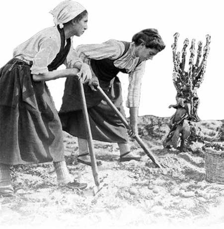 Two women in head coverings working outdoors with long-handled tools