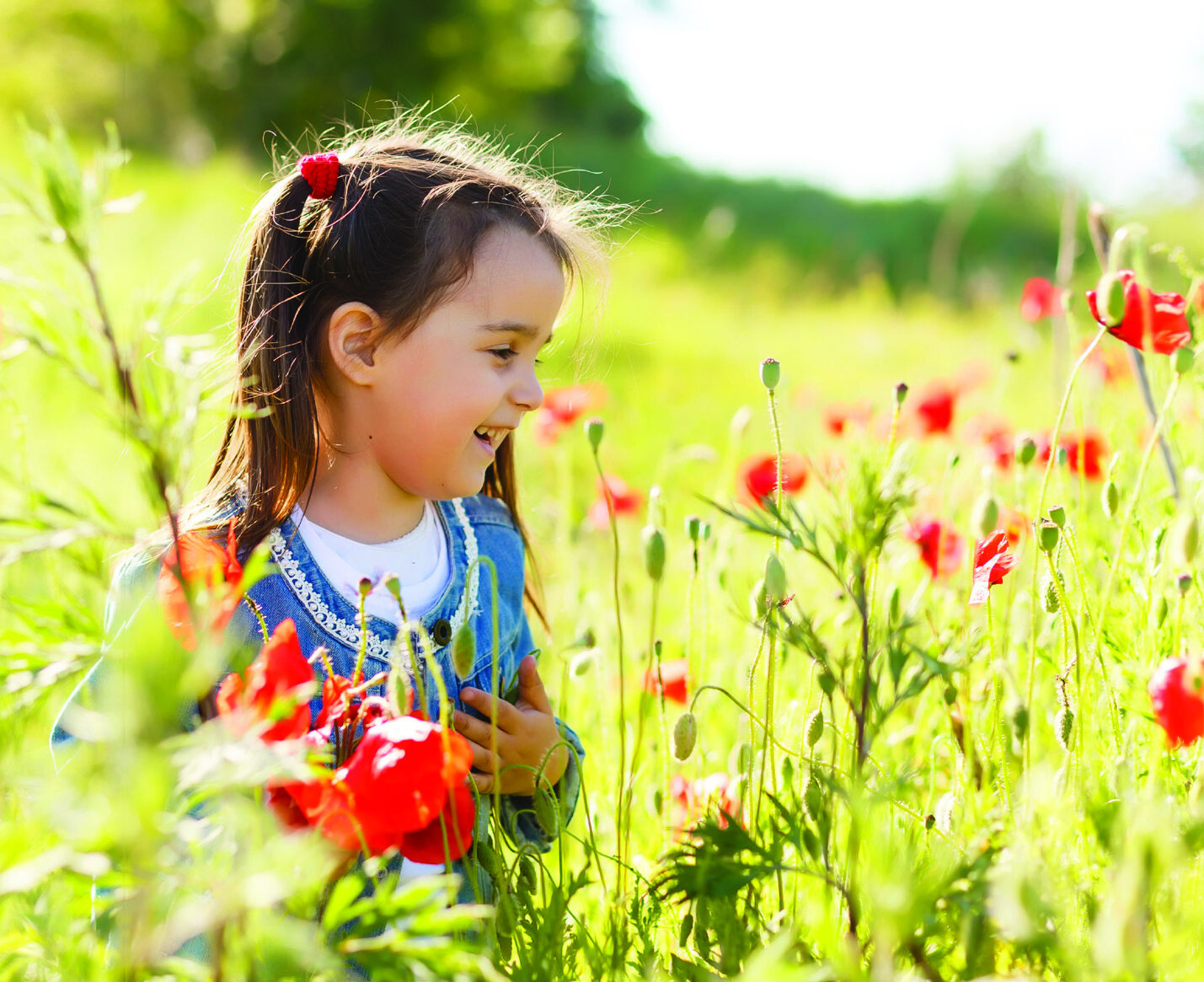 A young girl standing among red poppies in a sunny field