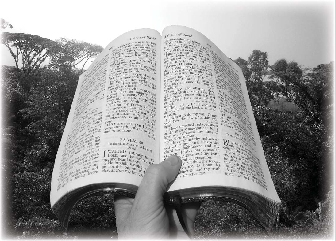 An open Bible held outdoors against a background of trees