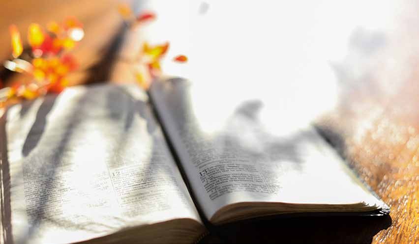An open Bible lit by warm autumn light