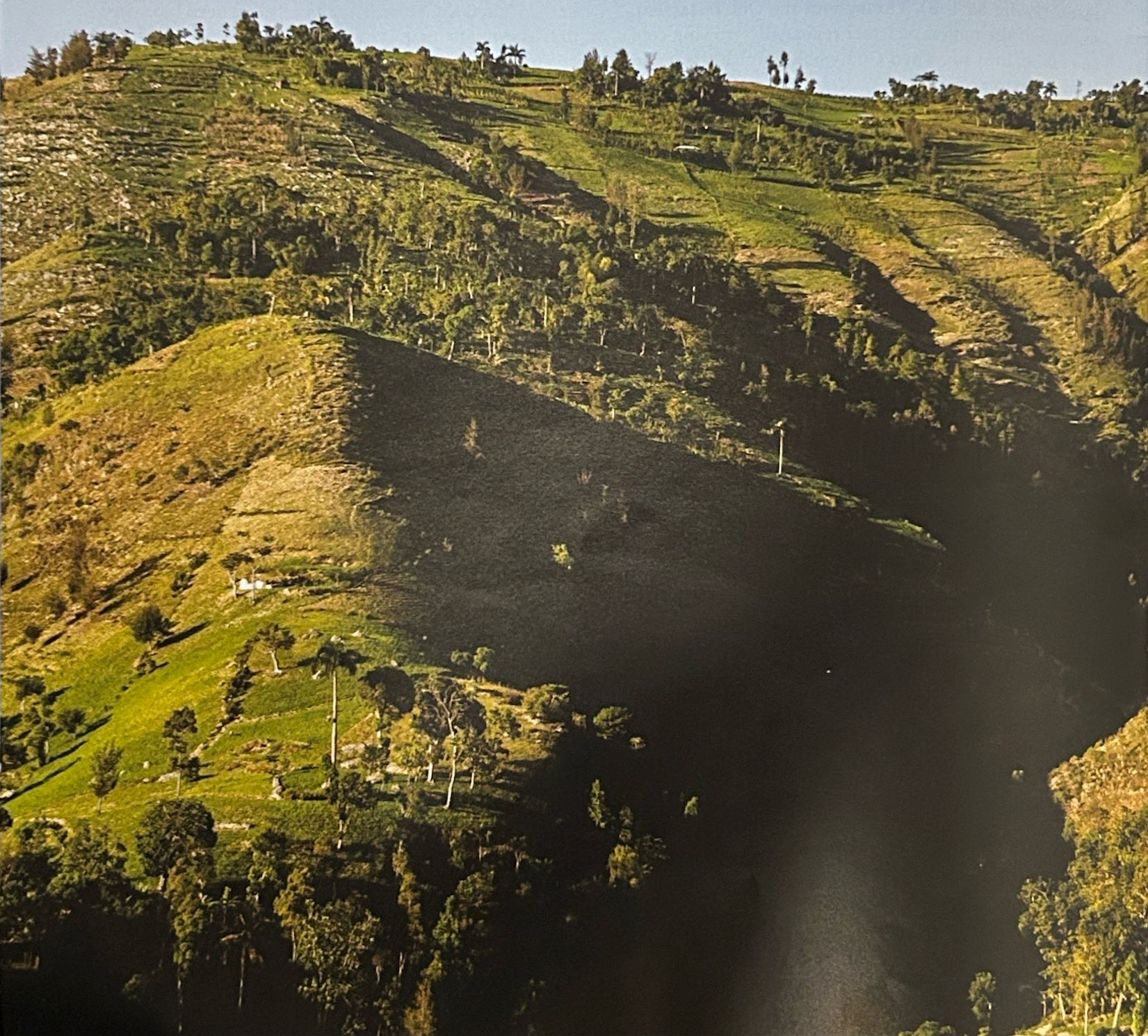 Green hills divided into fields, with scattered trees and buildings.