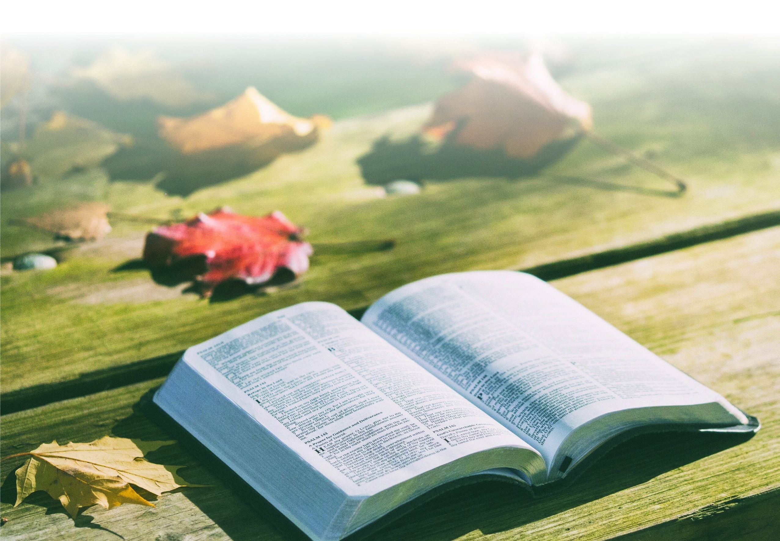 Open Bible on a wooden picnic table with autumn leaves