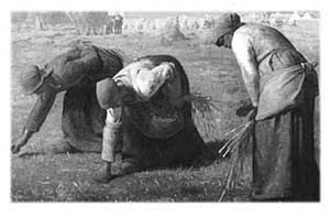 Three women working outdoors