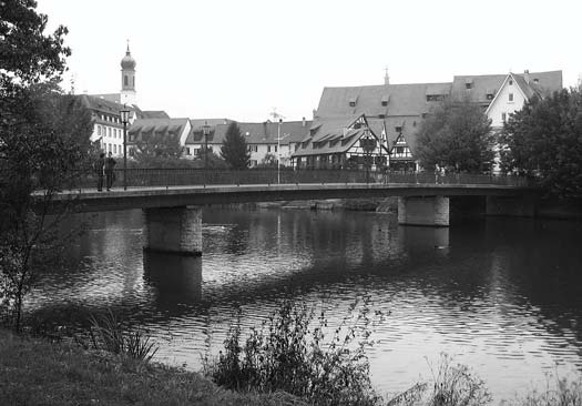 The Neckar River beside a bridge and town buildings