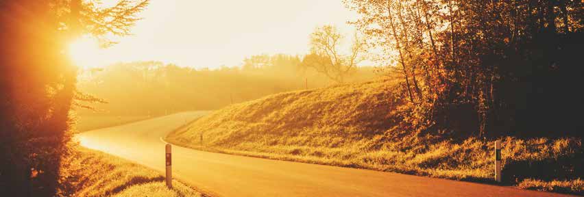 A sunlit road curving through a wooded landscape