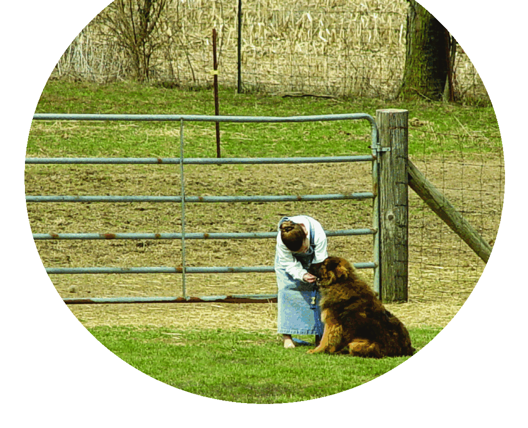A young girl beside a large dog near a metal pasture gate