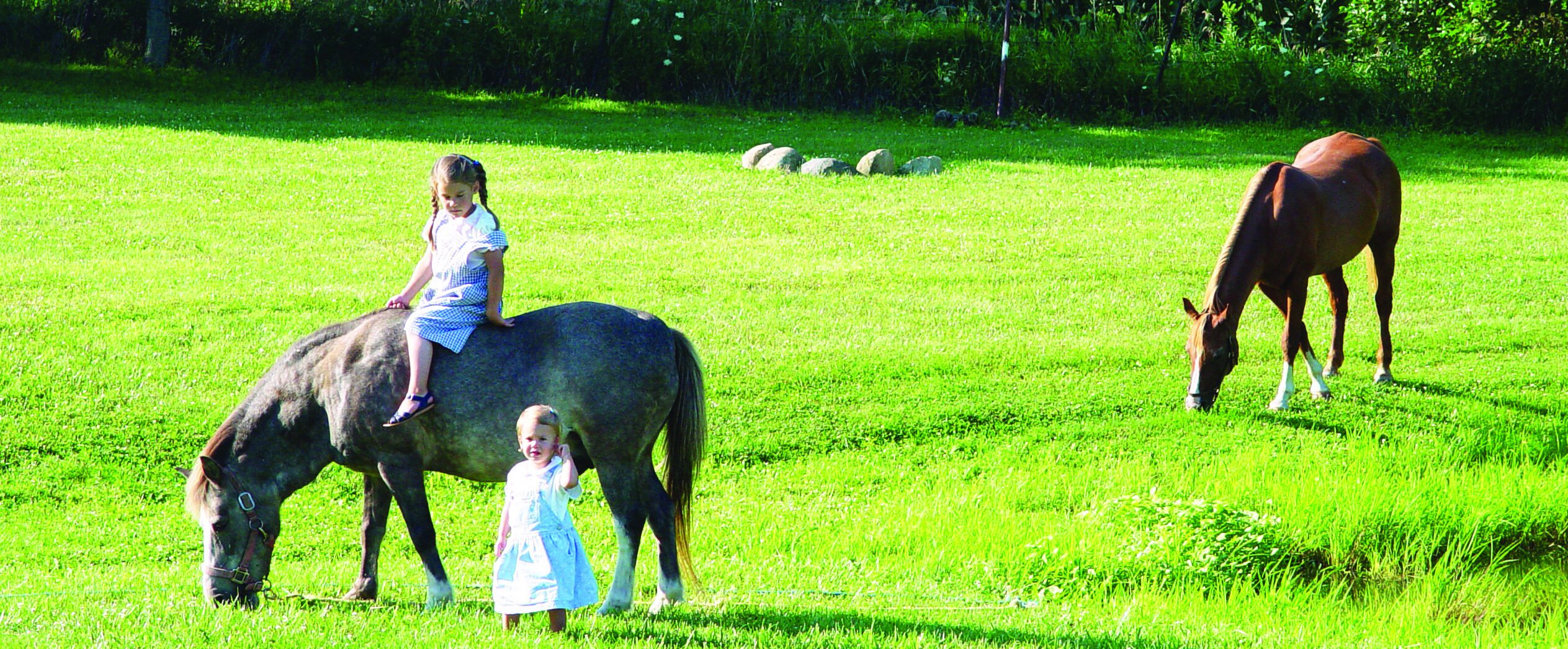 Two young girls with horses in a grassy pasture