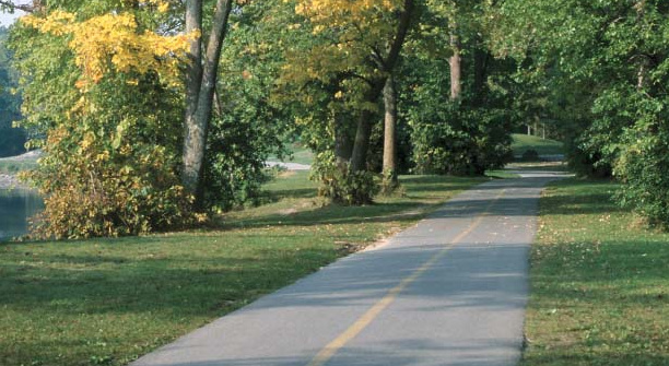 An autumn tree-lined road beside grass and water.