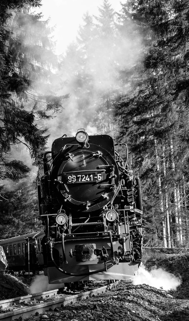 A steam locomotive traveling through a forest