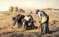 Three women gleaning in a harvested field.