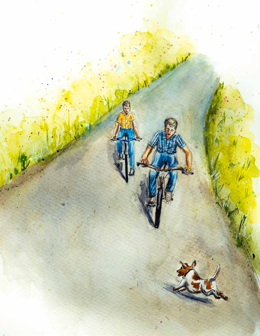 Two boys racing bicycles downhill while a small dog runs into the road