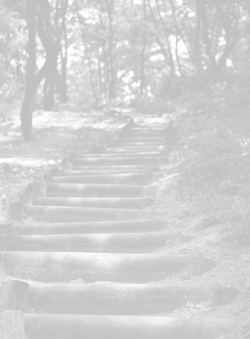 Stone steps leading through a wooded landscape.