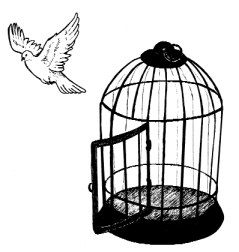 A bird flying away from an open cage.